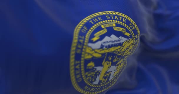 Close Bandeira Estado Nebraska Tremer Bandeira Azul Com Selo Estado — Vídeo de Stock