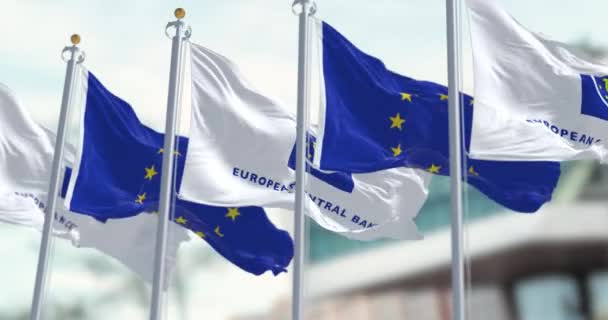 フランクフルト 2023年3月 欧州中央銀行と欧州連合の5つの旗が背景にEcb席と手を振っ 3Dレンダリングアニメーション スローモーション シームレスなループだ 選択的焦点 — ストック動画
