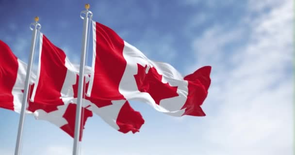 晴れた日にはカナダの国旗3枚が風になびいていた 中央の白い四角形と11点の赤の様式化されたカエデの葉 3Dレンダリングアニメーション スローモーション シームレスなループだ 選択的焦点 — ストック動画