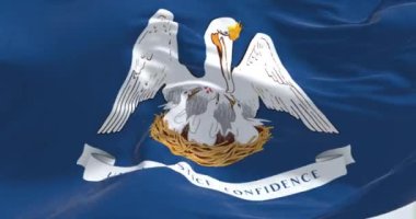 Louisiana eyalet bayrağına yakın çekim. Mavi bayrak, beyaz pelikan ve slogan, ortaya. ABD eyaleti. 3D canlandırma canlandırması. Ağır çekim. Kusursuz döngü. Seçici odaklanma. Yakın plan.