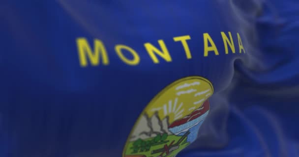 蒙大拿州国旗的特写挥动 中间有纹章 3D渲染动画 慢动作无缝圈 有选择的重点 后续行动 — 图库视频影像