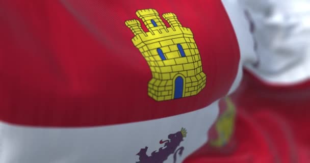 Detailní Záběr Vlající Vlajky Kastilie Leona Kastilie Leon Autonomní Společenství — Stock video