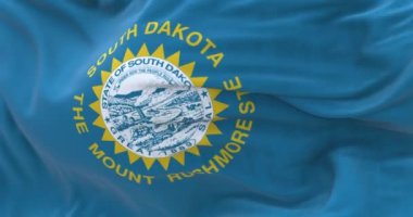 Güney Dakota bayrağının rüzgarda dalgalanan yakın çekimi. Eyalet mührü ve altın güneşli gök mavisi bir alan. Birleşik Devletler Federal Eyaleti. 3D canlandırma canlandırması. Ağır çekim. Kusursuz döngü. Seçici odaklanma. Yakın plan.