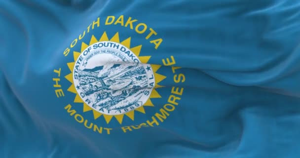Närbild South Dakota Flaggan Viftar Vinden Himmelblått Fält Med Statssigill — Stockvideo