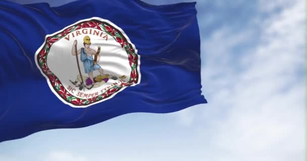 弗吉尼亚的州旗在晴朗的日子飘扬 蓝色的田野 中央有白色的臂膀 3D渲染动画 慢动作无缝圈 有选择的重点 飘扬的纺织品 — 图库视频影像