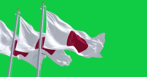 Tres Banderas Nacionales Japón Ondeando Sobre Fondo Verde Disco Rojo — Vídeo de stock