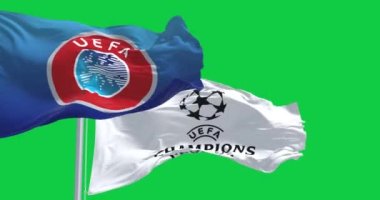 İstanbul TR, Jan 2023: UEFA ve UEFA Şampiyonlar Ligi bayrakları yeşil arka planda izole halde sallanıyor. Kusursuz 3D canlandırma animasyonu. Yeşil ekran mat. Alfa kanalı. Krom anahtar. Yavaş çekim döngüsü