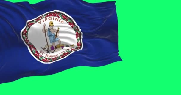 バージニア州の旗が緑の背景を振っている 中央に白い腕のコートを持つブルーフィールド シームレスな3Dレンダリングアニメーション 緑色のスクリーンマット アルファチャンネル クロマキー スローモーションループ — ストック動画