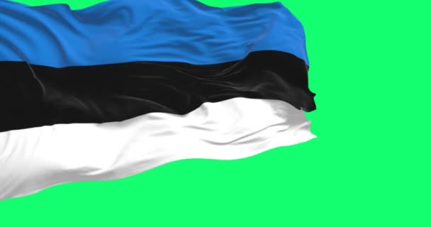 Σημαία Εσθονίας Κυματίζει Πράσινο Φόντο Τρεις Ίσες Οριζόντιες Ρίγες Μπλε — Αρχείο Βίντεο