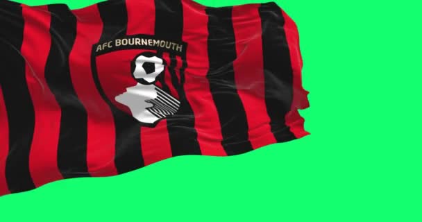 Bournemouth Großbritannien April 2023 Die Flagge Des Afc Bournemouth Weht — Stockvideo