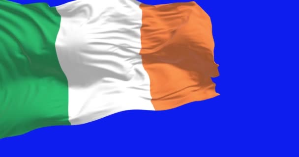 青い画面に隔離されたアイルランドの国旗 オレンジの3つの垂直バンド シームレスな3Dレンダリングアニメーション ブルースクリーンマット アルファチャンネル クロマキー スローモーションループ — ストック動画
