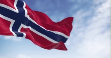 Norveç ulusal bayrağı açık bir günde rüzgarda dalgalanıyor. Beyaz çizgili mavi haçlı kırmızı alan. Kusursuz 3 boyutlu animasyon. Yavaş çekim döngüsü. Seçici odaklanma. Dalgalanan tekstil