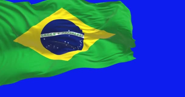 巴西国旗在蓝色背景下飘扬 无缝3D渲染动画 蓝色的屏幕垫 阿尔法频道铬键 慢动作回路 — 图库视频影像