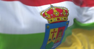 La Rioja bayrağı dalgalanıyor. İspanya Özerk Topluluğu. Kırmızı, beyaz, yeşil ve sarı kollu bantlar. Kusursuz 3 boyutlu animasyon. Yavaş çekim döngüsü. Seçici odaklanma. Kanat çırpan kumaş. Yakın plan.