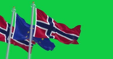 Yeşil arka planda izole edilmiş Norveç ve Avrupa Birliği bayrakları sallanıyor. Kusursuz 3D canlandırma animasyonu. Yeşil ekran mat. Alfa kanalı. Krom anahtar. Yavaş çekim döngüsü