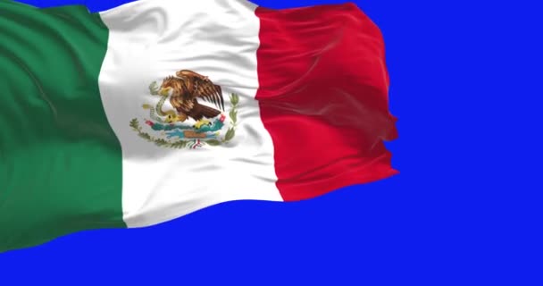 Μεξικάνικη Εθνική Σημαία Που Κυματίζει Απομονωμένη Μπλε Φόντο Απρόσκοπτη Καθιστούν — Αρχείο Βίντεο