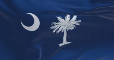 Güney Carolina bayrağı dalgalanıyor. Beyaz palmetto ağacı ve hilal olan mavi tarla. ABD eyaleti. Dalgalı kumaş. Kusursuz 3 boyutlu animasyon. Yavaş çekim döngüsü. Kanat çırpan kumaş. Yakın plan.