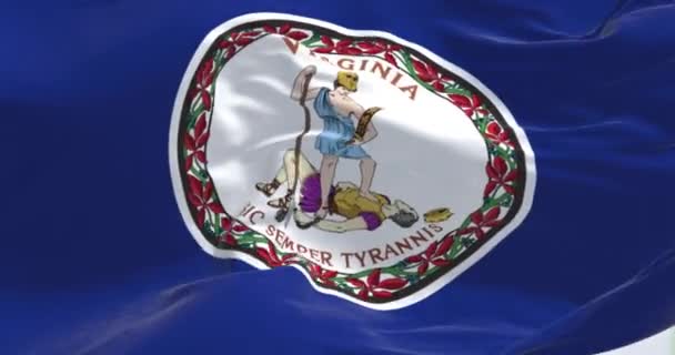 Крупный План Флага Штата Вирджиния Размахивающего Ветру Голубое Поле Белым — стоковое видео