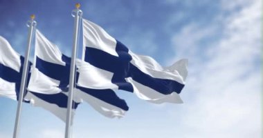 Açık bir günde üç Finlandiya bayrağı dalgalanır. Beyaz arka planda mavi İskandinav haçı. İskandinav ülkesi. Kusursuz 3 boyutlu animasyon. Yavaş çekim döngüsü. Seçici odaklanma. Çırpınan kumaş