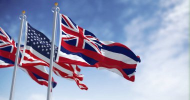 Hawaii eyalet bayrağı açık bir günde Amerika Birleşik Devletleri bayrağıyla dalgalanıyor. 3D illüstrasyon canlandırıcı. Kanat çırpan kumaş. Seçici odak