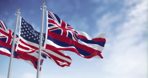 Die Flagge Des Staates Hawaii Weht Einem Klaren Tag Mit — Stockvideo