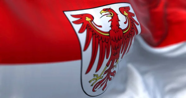 Brandenburg State Flag Waving Wind Red White Flag Red Eagle — Stock Photo, Image