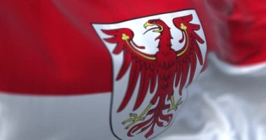 Brandenburg eyaleti bayrağı rüzgarda dalgalanıyor. Kırmızı kartal armalı beyaz bayrak. Kusursuz 3 boyutlu animasyon. Yavaş çekim döngüsü. Seçici odaklanma. Kanat çırpan kumaş. Yakın plan.