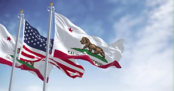 Bandeira Estado Califórnia Acenando Com Bandeira Nacional Dos Estados Unidos — Vídeo de Stock