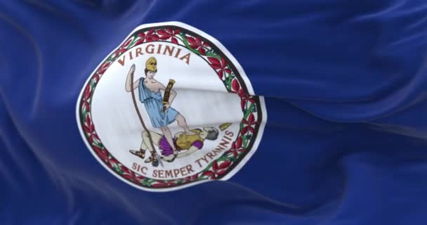 Egy Közeli Kép Virginia Állam Zászlójáról Amint Integet Szélben Kék — Stock videók