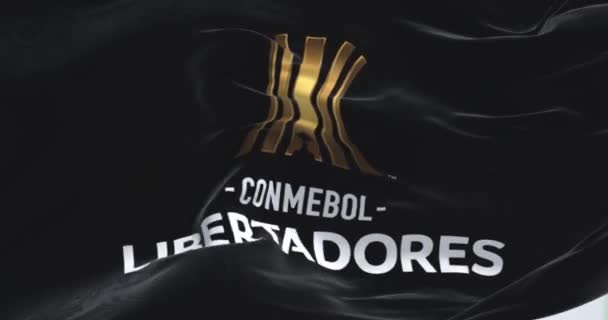 ブエノスアイレス Arg 2022年9月 Conmebolリベルタドーレスの旗が風に揺れる 南アメリカのサッカー大会 シームレスな3Dレンダリングアニメーション スローモーションループ フラッタリング生地 — ストック動画