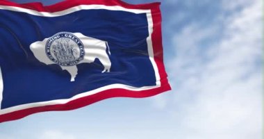 Wyoming eyalet bayrağı açık havada dalgalanır. Mavi sahada bizon silueti. Kusursuz 3 boyutlu animasyon. Yavaş çekim döngüsü. Kanat çırpan kumaş. Yakın plan.