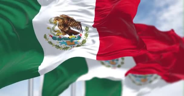 Tre Mexikanska Flaggor Viftar Vinden Vertikal Tricolor Grönt Vitt Och — Stockvideo