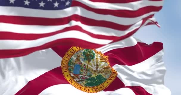 Banderas Florida Estados Unidos Ondeando Día Despejado Estado Federado Estados — Vídeo de stock