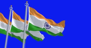 Mavi arka planda sallanan üç Hindistan bayrağı. Kusursuz 3D canlandırma animasyonu. Mavi ekran mat. Alfa kanalı. Krom anahtar. Yavaş çekim döngüsü