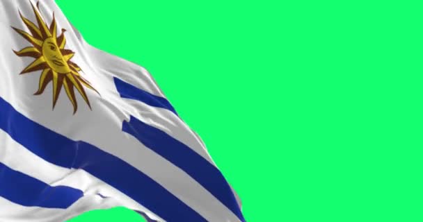 ウルグアイの国旗が緑の背景に孤立して手を振っている 9本の縞模様 白と青 白の正方形のソル シームレスな3Dレンダリングアニメーション 緑色のスクリーンマット アルファチャンネル クロマキー スローモーションループ — ストック動画
