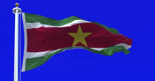 Suriname Ondas Bandeira Nacional Vento Isolado Fundo Azul Animação Renderização — Vídeo de Stock