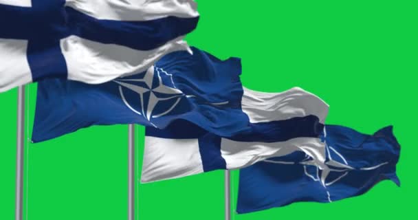Bruxelles Aprile 2023 Bandiere Della Finlandia Della Nato Sventolano Isolate — Video Stock