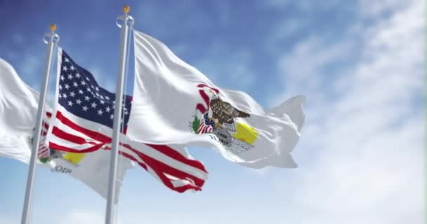 Illinois Flaggan Viftar Med Amerikas Förenta Staters Nationalflagga Klar Dag — Stockvideo