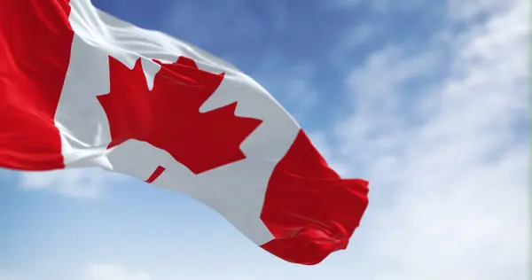 Açık Bir Günde Kanada Ulusal Bayrağı Rüzgarda Dalgalanıyor Beyaz Kare — Stok fotoğraf