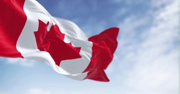 カナダ国旗が晴れた日に手を振っている 中央の白い四角形と11点の赤の様式化されたカエデの葉 シームレスな3Dレンダリングアニメーション スローモーションループ 選択的フォーカス フラッタ生地 — ストック動画