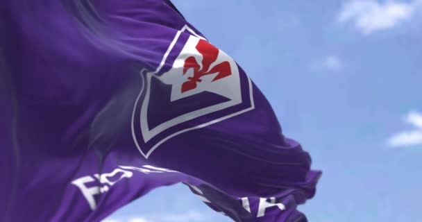 Φλωρεντία Μάιος 2023 Κοντινό Πλάνο Της Σημαίας Acf Fiorentina Κυματίζει — Αρχείο Βίντεο