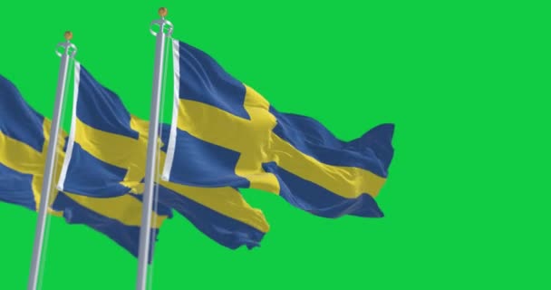 Drapeaux Suède Agitant Isolés Sur Fond Vert Croix Nordique Jaune — Video