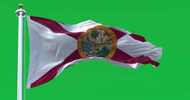 Bandera Del Estado Florida Ondeando Aislada Sobre Fondo Verde Llanta — Vídeo de stock