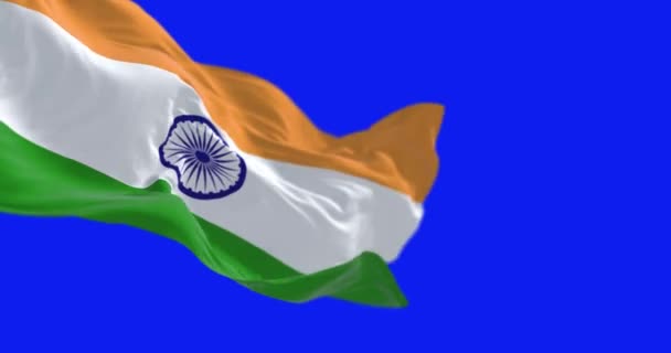 Εθνική Σημαία Της Ινδίας Κυματίζει Απομονωμένη Μπλε Οθόνη Απρόσκοπτη Καθιστούν — Αρχείο Βίντεο