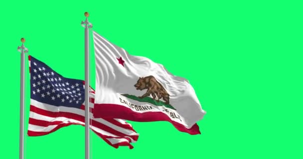 Bendera Republik California Dan Amerika Serikat Melambai Terisolasi Dengan Latar — Stok Video