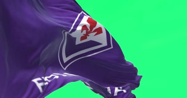 Florence Mei 2023 Vlag Van Fiorentina Wapperend Italiaanse Voetbalclub Uit — Stockvideo