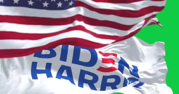 Washington Usa Apr 2023 Biden Harris Flagga Viftar Med Amerikansk — Stockvideo