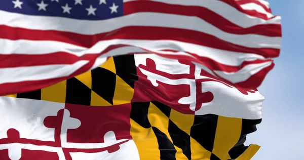 Close-up of Maryland state flag waving in the wind with a blurred portion of the United States national flag in the background. Patriotic and symbolic image. 3d illustration render. Selective focus