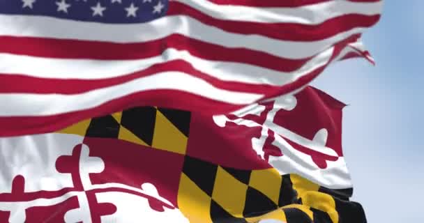 メリーランド州と米国の旗のゆっくりとした動きの中でシームレスなループが振っている 愛国的で象徴的なイメージ シームレスな3Dレンダリングアニメーション スローモーションループ 選択的フォーカス フラッタリング生地 — ストック動画
