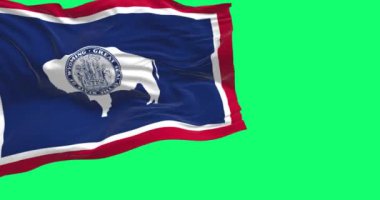 Wyoming eyaleti bayrağı yeşil arka planda izole bir şekilde dalgalanıyor. Mavi sahada bizon silueti. Kusursuz 3D canlandırma animasyonu. Yeşil ekran mat. Alfa kanalı. Krom anahtar. Yavaş çekim döngüsü. 